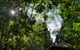 Narrows Escape Rainforest Retreat - thumb 5
