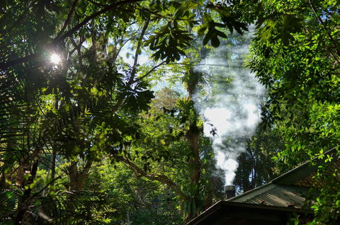 Narrows Escape Rainforest Retreat - Accommodation Search 5
