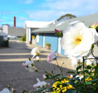 Captains At The Bay - Accommodation Search