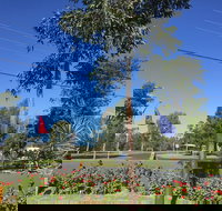 Silver Oaks Motel - Accommodation Search