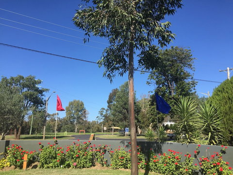 Silver Oaks Motel - Accommodation Search 0