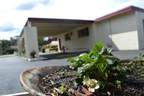 Wattle Motel - Accommodation Search 2