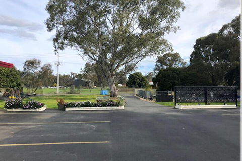 Wattle Motel - Accommodation Search 4