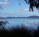 Lilacs Waterfront Villas  Cottages - Accommodation Search