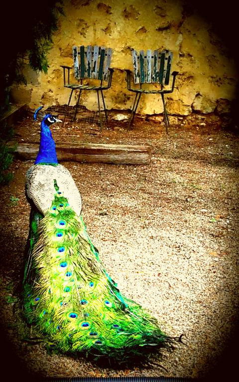 A La Folly - Accommodation Search 4