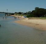 Black Dolphin Waterfront Townhouse Bay Views - Accommodation Search