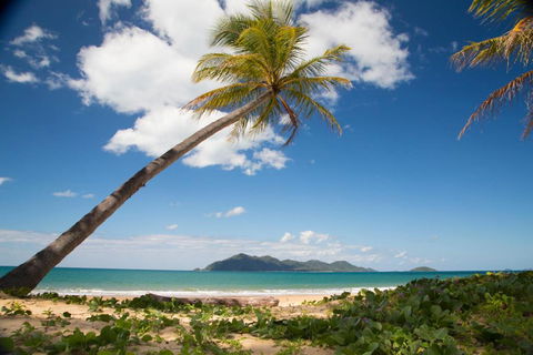 7 McNamara Wongaling Beach - Accommodation Search 5
