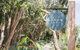 Haven Red Hill - thumb 0