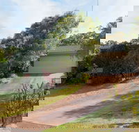 Wildflowers at Fingal Bay - Accommodation Search