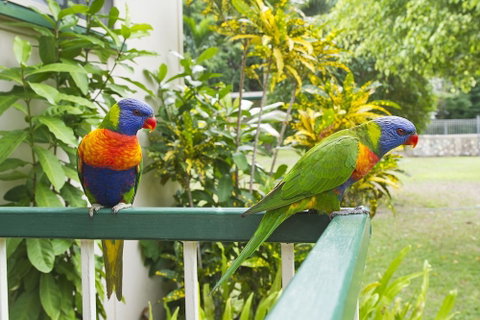 Kooyong Apartment 2 - Accommodation Search 2