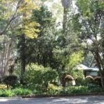 Two Sisters Chalets - Accommodation Search 1