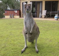 Yelverton Brook Conservation Sanctuary - Accommodation Search