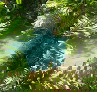 Palm Cove Tropic Apartments - Accommodation Search