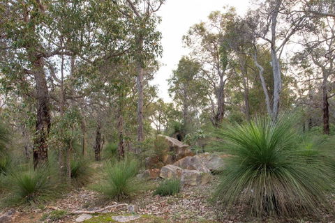 A Hidden Bush Delight - Accommodation Search 6