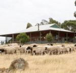 Gilgraves Vineyard Farmstay - Accommodation Search