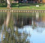 Wentworth Wharf B  B - Accommodation Search