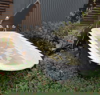 William Hunts Retreat Cypress Studio - Accommodation Search