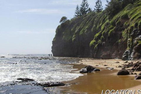 Ocean Mist Cottage Across From Pet Friendly Beach - Accommodation Search 2