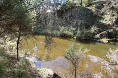 Alpine Streamside - Accommodation Search 3