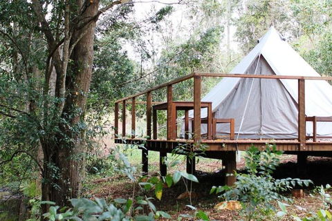 Stonehouse Farm Glamping - Accommodation Search 5