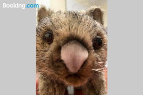 SKY GARDENS SUNSET RIVER VIEW NETFLIX WINE PARKING - Accommodation Search 6