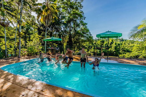 Jackaroo Treehouse Mission Beach - Accommodation Search 4