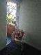 Abbeville Apartments - Accommodation Search 5