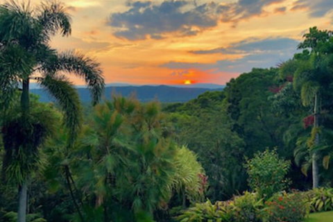Daintree Manor Bed & Breakfast - Accommodation Search 0