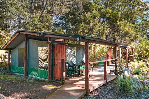 Binna Burra Rainforest Campsite - Accommodation Search 3