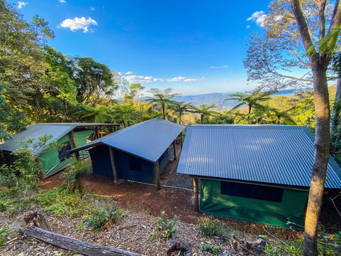 Binna Burra Rainforest Campsite - Accommodation Search 4