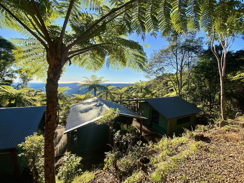 Binna Burra Rainforest Campsite - Accommodation Search 0