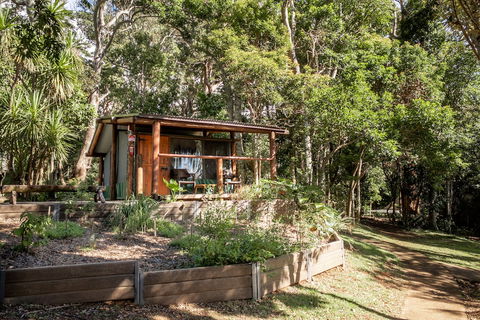 Binna Burra Rainforest Campsite - Accommodation Search 1