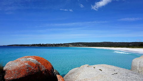 SEA EAGLE COTTAGE Amazing Views Of Bay Of Fires - Accommodation Search 6