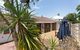 Dingo At White Gum Lodge - thumb 5