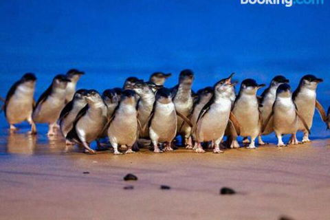 Lantana - Accommodation Search 0