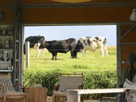 THE SHED Gerroa 4pm Checkout On Sundays & Public Holidays - Accommodation Search 6