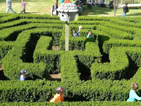 Home Near Shops & Beach - Accommodation Search 6