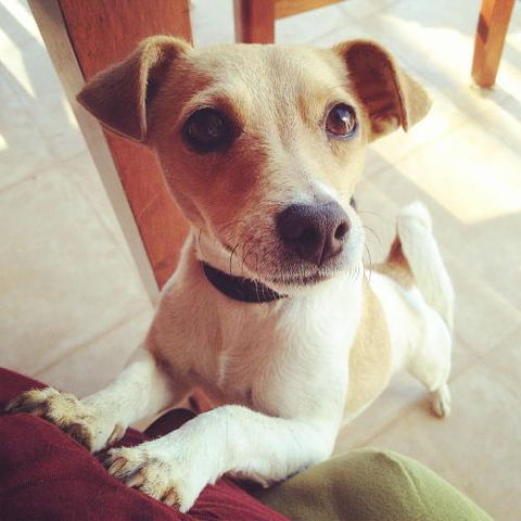 Harmony At Tower Hill Apartment - Accommodation Search 4