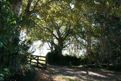 Maleny Mountain Retreat - Accommodation Search 0