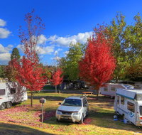Beechworth Lake Sambell Caravan Park - Accommodation Search