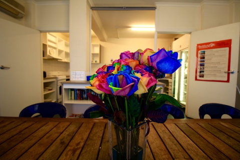 The Guesthouse - Hostel - Accommodation Search 2