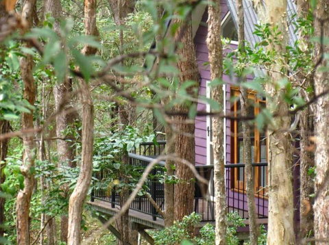 Amytis Gardens Retreat & Day Spa - Accommodation Search 1