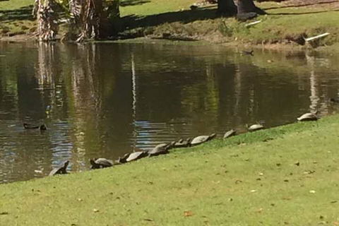 Sanctuary Lakes Fauna Retreat - Accommodation Search 1