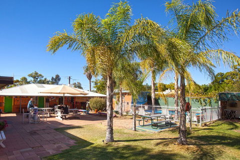 Alice Lodge Backpackers - Accommodation Search 3