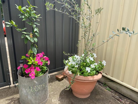 Bendigo Backpackers - Accommodation Search 2