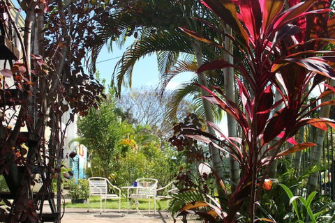 Asylum Cairns Hostel - Accommodation Search 3