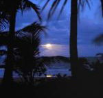 Sejala Beach Huts - Accommodation Search