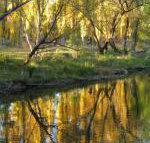 On The Banks - Accommodation Search