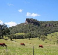 Rosevale House - Accommodation Search