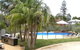 Koala Tree Motel - thumb 1